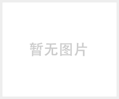BOCKUS电动叉车电池博克森牵引车蓄电池